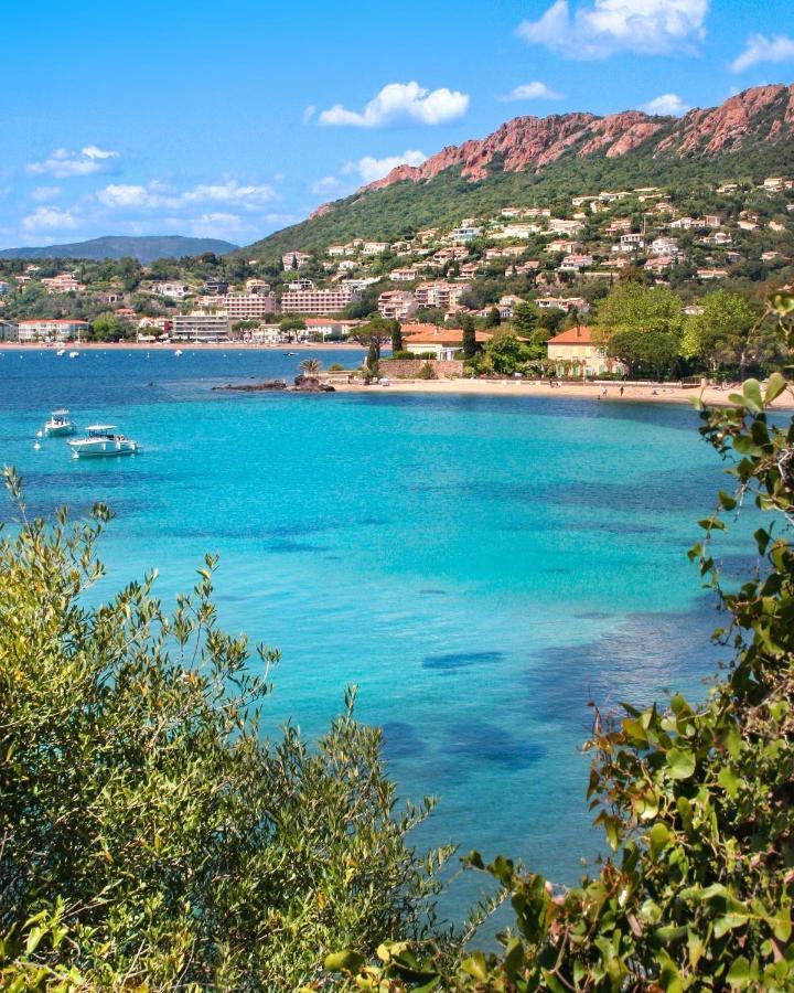 Studio 1 Neuf A 100 M Des Plages Et De La Gare Saint-Raphaël Eksteriør billede